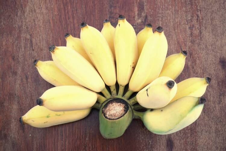 ประโยชน์ของกล้วยที่มีต่อสุขภาพ
